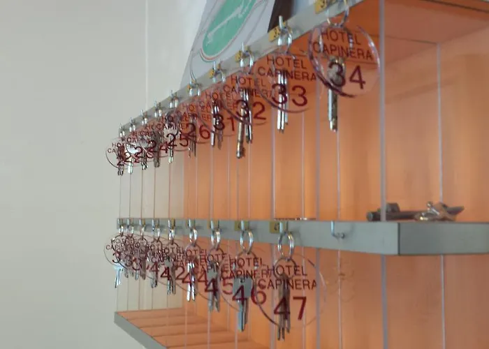 Hotel Garni Capinera Garda (Verona)